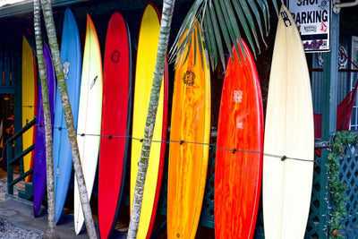 Top Surfing Spots in the Basque Country: Discover the Waves with AUNTI by Vexora